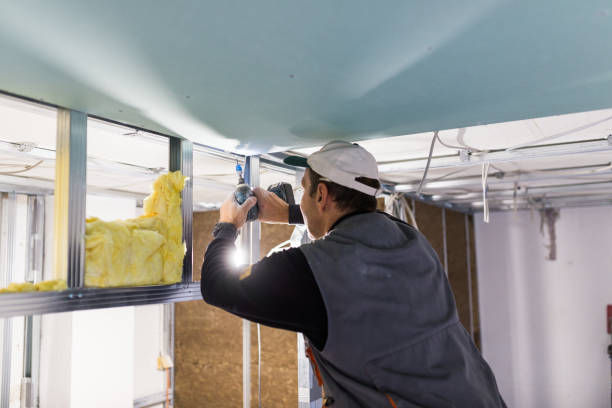 Best Specialized Insulation Services in Woodlawn, VA